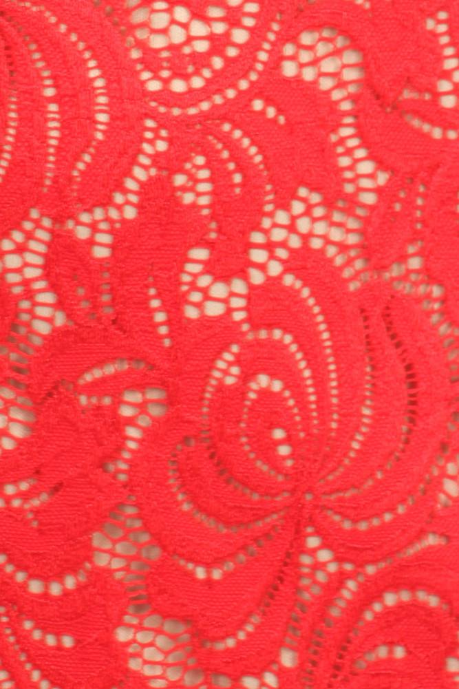 Plus Size Pretty Victorian Lace Dress