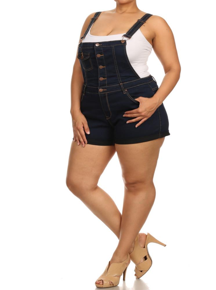 Plus Size Picnic Days Blue Denim Overalls
