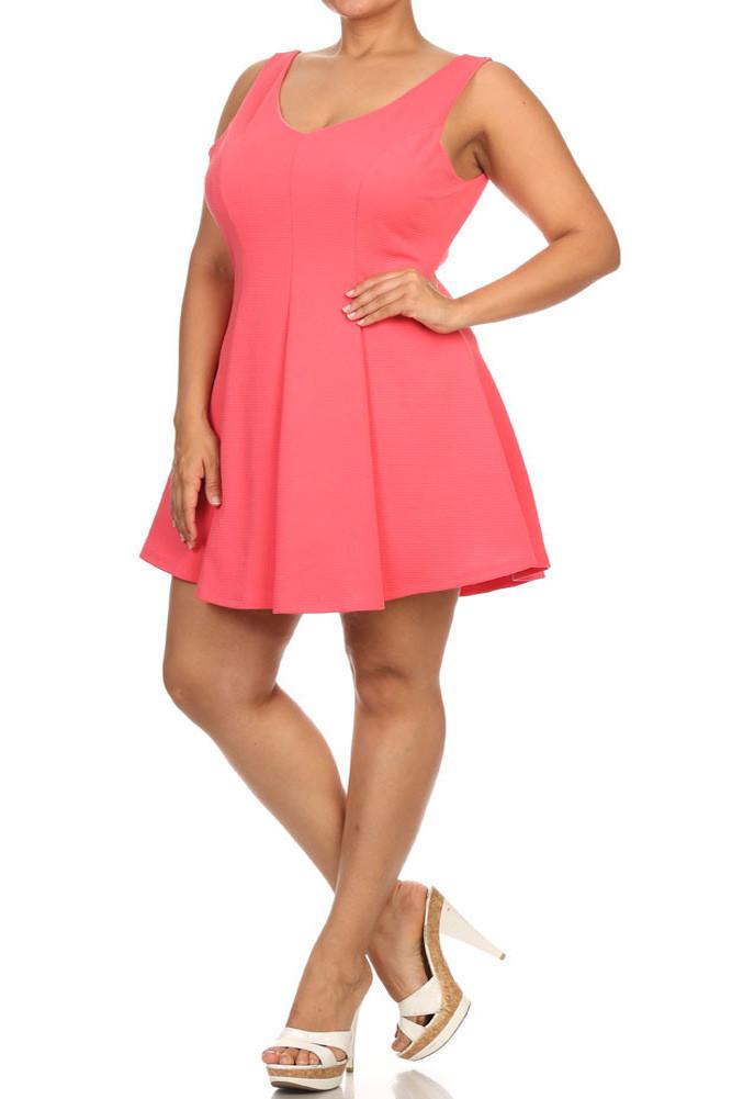 Plus Size V Neck Princess Pink Skater Dress