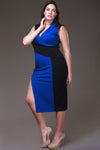 Two Tone Color Block Plus Size Dress