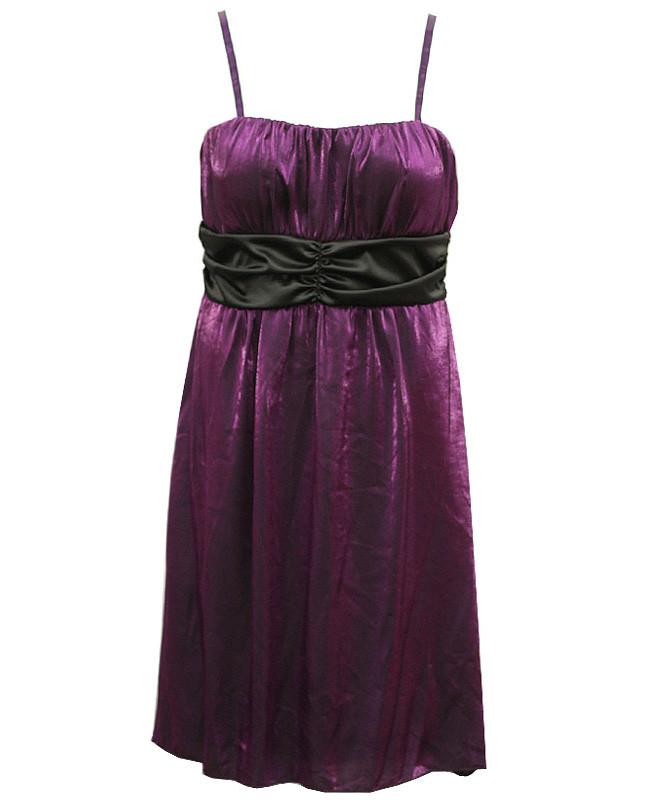 Plus Size Elegant Tube Purple Dress