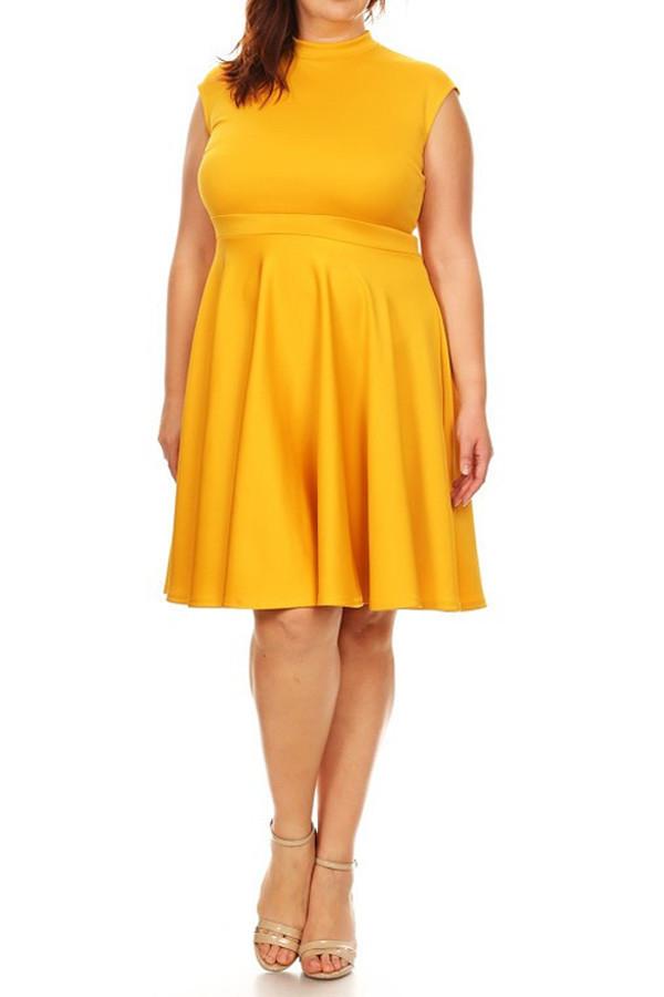Plus Size Cap Sleeves  Fit And Flare Dress