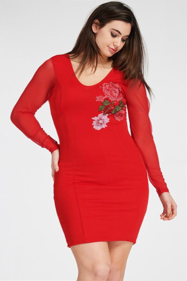 Plus Size Mesh Sleeve Embroidered Rose Dress