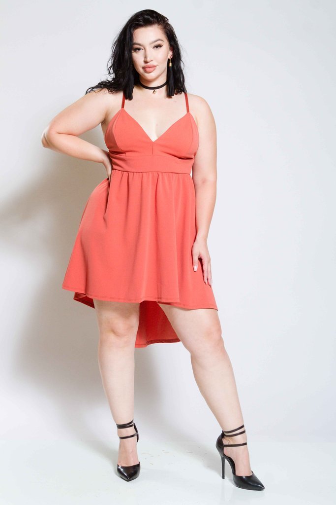 Plus Size Plunged Skater Dress