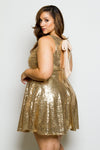 Plus Size Sleeveless Sequin Skater Dress