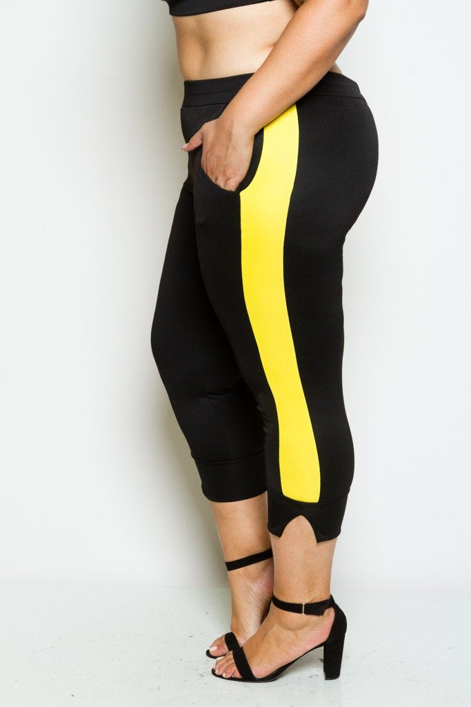 Plus Size Scuba Colorblock Capri Pants