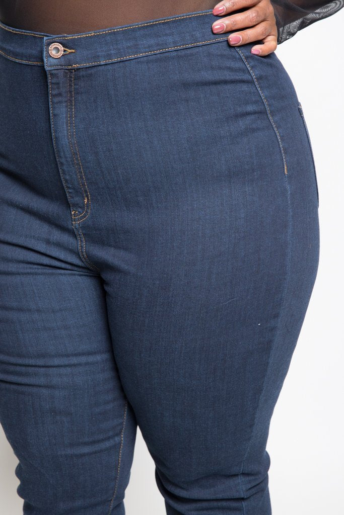 Plus Size Slimming High Rise Skinny Jeans