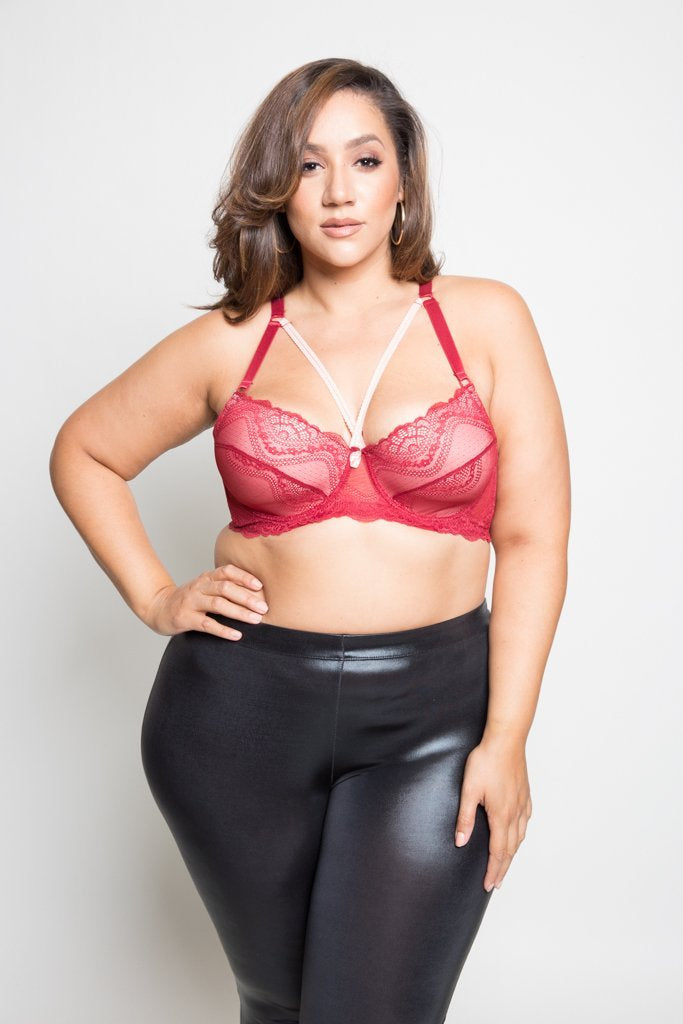 Plus Size Lace Overlay Cup Size DD Bra [Final Sale Item]