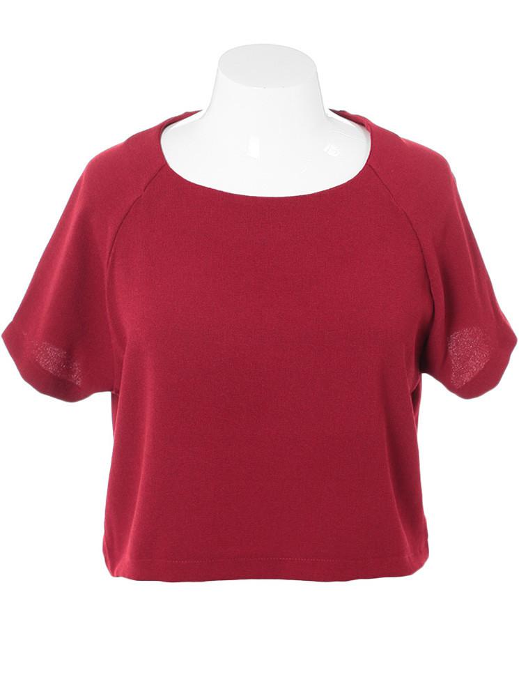 Plus Size Trendy Rose Crop Top