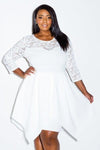 Plus Size Gorgeous Lace Flare Party Dress