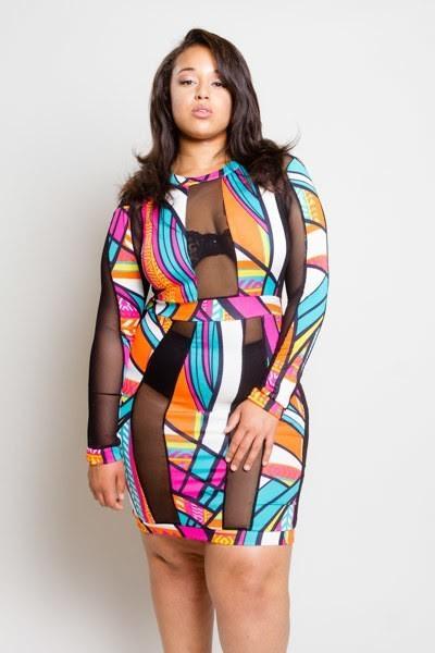 Vivid Pattern Mesh Panels Plus Size Dress